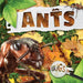 Ants by William Anthony
