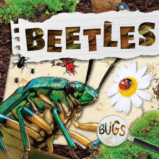 Beetles by William Anthony
