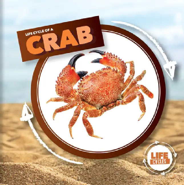 Life Cycle of a Crab by Kirsty Holmes