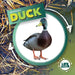Life Cycle of a Duck by Kirsty Holmes