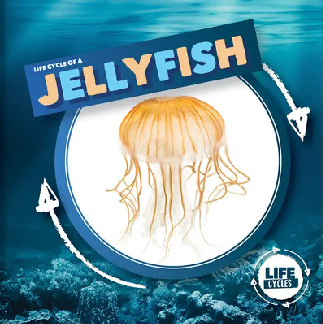 Life Cycle of a Jellyfish by Kirsty Holmes