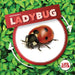 Life Cycle of a Ladybug by Kirsty Holmes