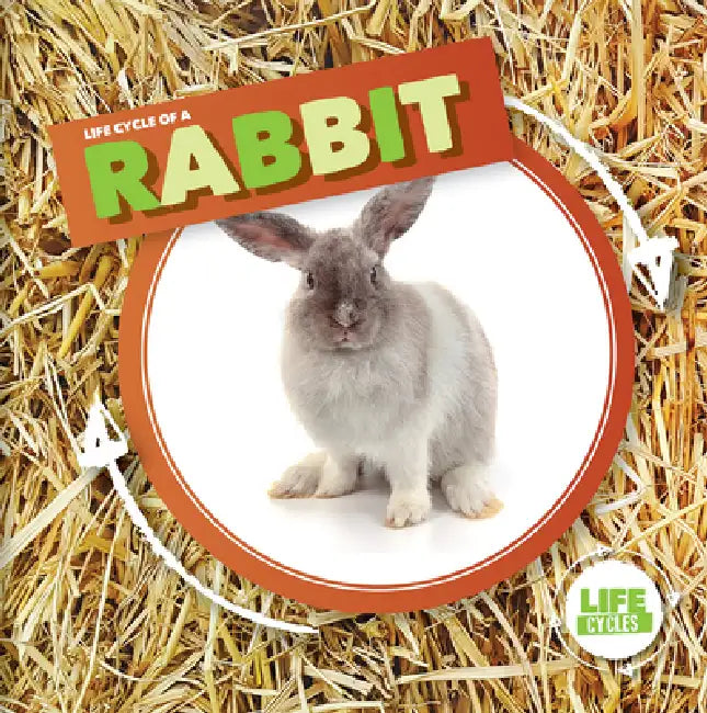 Life Cycle of a Rabbit by Kirsty Holmes