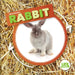 Life Cycle of a Rabbit by Kirsty Holmes