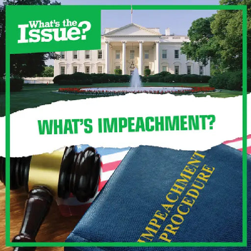 What's Impeachment? by Amy Holt