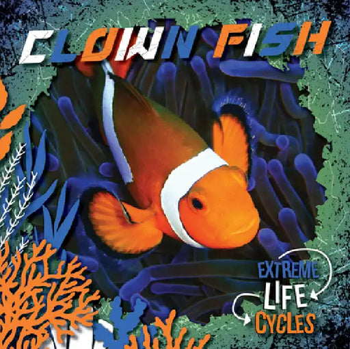 Clown Fish by E. C. Andrews