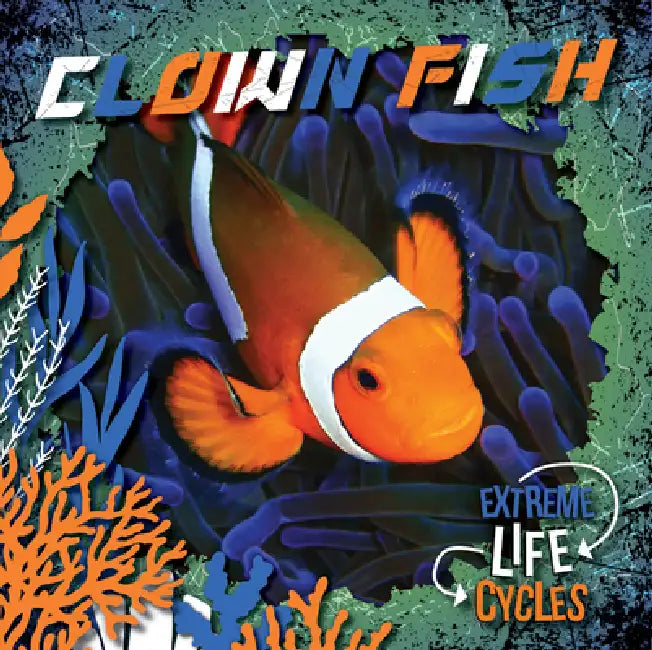 Clown Fish by E. C. Andrews