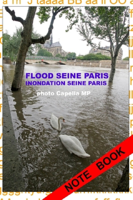 Inondation Seine Paris 2016: Flood Seine Paris by Capella Mp