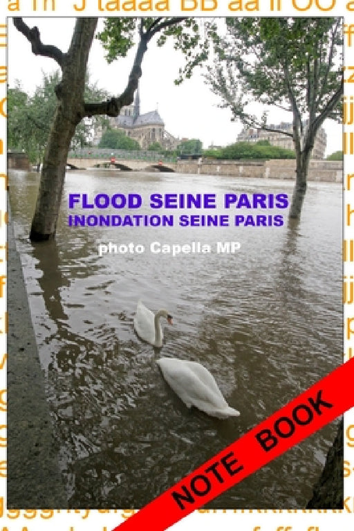 Inondation Seine Paris 2016: Flood Seine Paris by Capella Mp