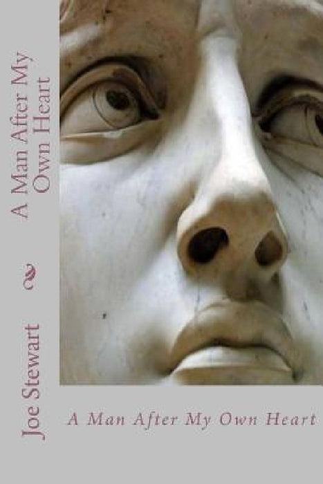 A Man After My Own Heart by Pam Stewart