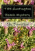 THE Huntington Beach Mystery by Zac Funstein