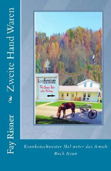 Zweite Hand Waren: Krankenschwester Hal unter das Amish by Risner, Fay