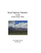 Bead Tapestry Patterns Loom Grand Teton View by Georgia Grisolia
