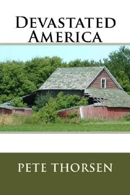 Devastated America by Pete Thorsen