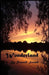 Wonderland by Russell Strand
