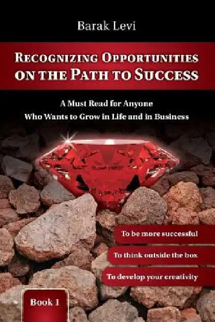 Self Improvement: Personal Growth: Recognizing Opportunities on the Path to Succ: Personal Development: Get Life Skills to Success in Li by Barak Levi
