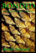 Bonded: A Nightshade Novel by Brenda Tetreault