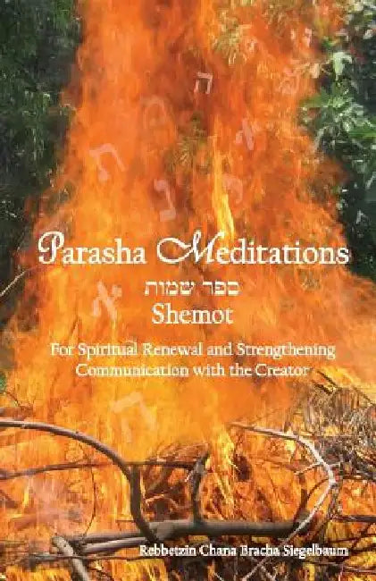 Parasha Meditations: Shemot - Internalizing Healing Transformation: For Spiritual Renewal and Strengthening Communication with the Creator by Chana Bracha Siegelbaum