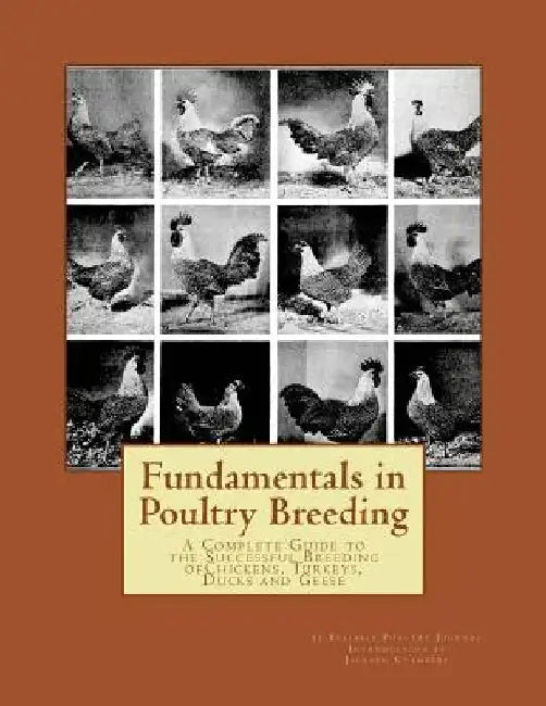 Fundamentals in Poultry Breeding: A Complete Guide to the Successful Breeding ofChickens, Turkeys, Ducks and Geese by Jackson Chambers