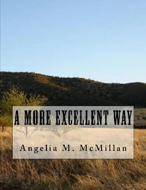 A More Excellent Way by Angelia M. McMillan