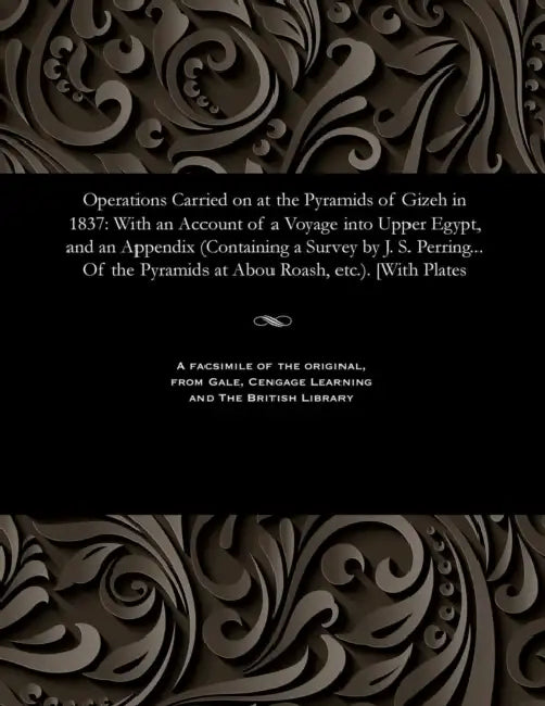 Operations Carried on at the Pyramids of Gizeh in 1837: With an Account of a Voyage Into Upper Egypt, and an Appendix (Containing a Survey by J. S. Pe by Richard William Howard Vyse