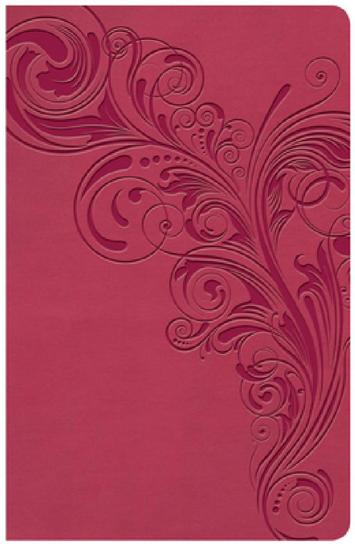KJV Large Print Personal Size Reference Bible, Pink Leathertouch Indexed by Holman Bible Publishers