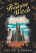 The Promise Witch (the Wild Magic Trilogy, Book Three) by Celine Kiernan