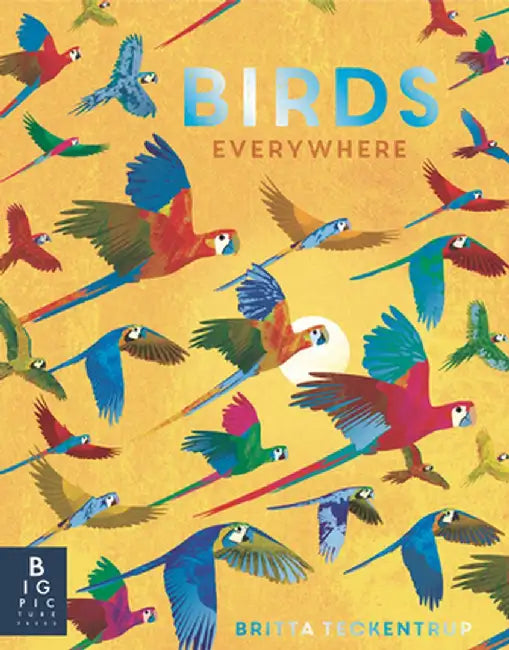 Birds Everywhere by Camilla de La Bedoyere