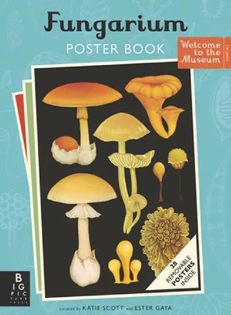 Fungarium Poster Book by Ester Gaya