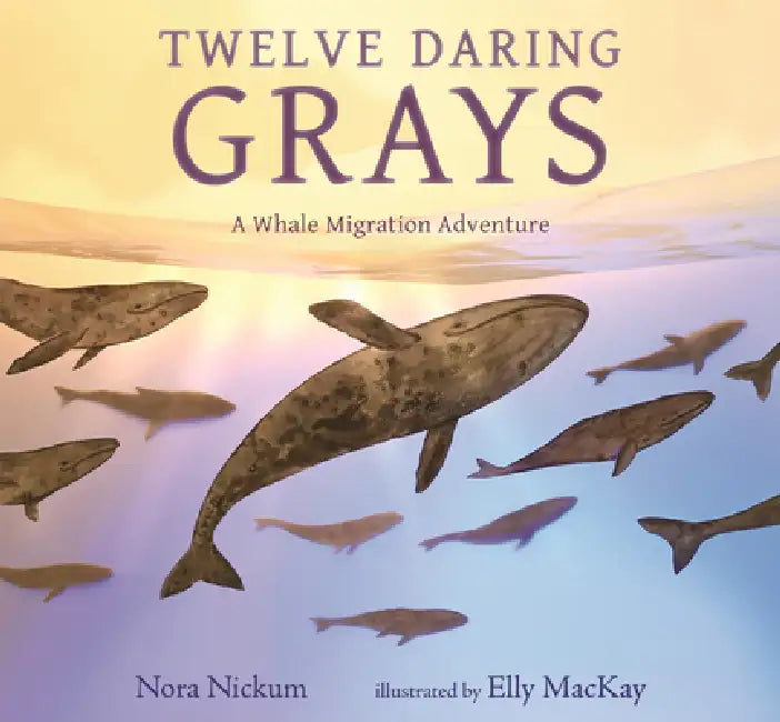 Twelve Daring Grays: A Whale Migration Adventure by Nora Nickum, Elly MacKay