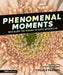 Phenomenal Moments: Revealing the Hidden Science Around Us by Felice Frankel