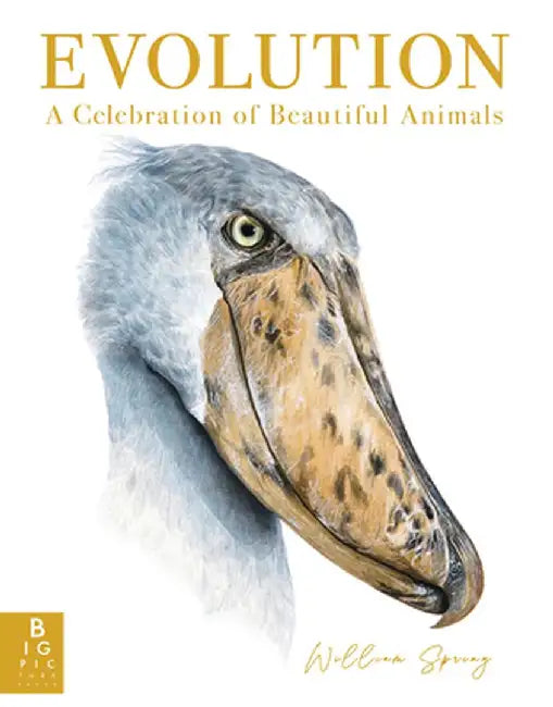 Evolution: A Celebration of Beautiful Animals by William Spring