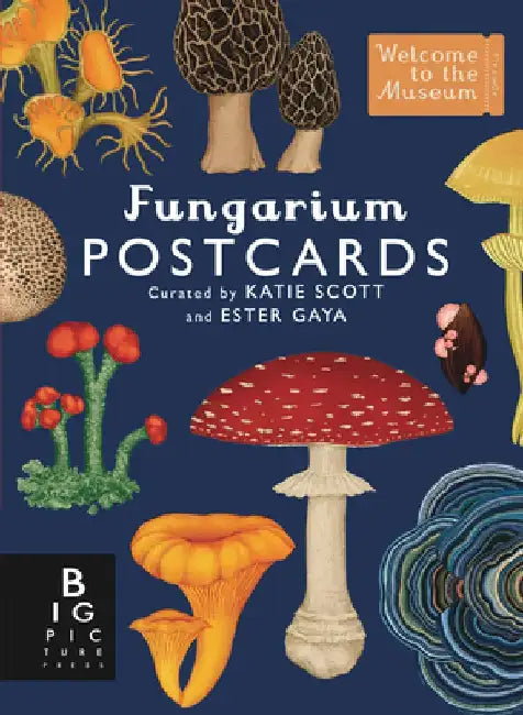 Fungarium Postcard Box Set by Ester Gaya