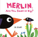 Merlin, Are You Small or Big? by Eva Rasano, Eva Rasano