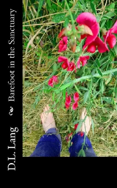 Barefoot in the Sanctuary by D. L. Lang
