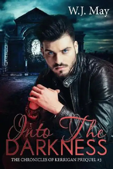 Into the Darkness: paranormal fantasy romance by W. J. May