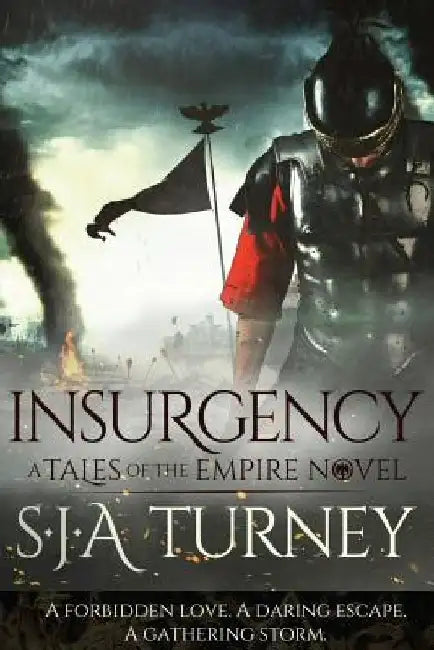 Insurgency by S. J. a. Turney