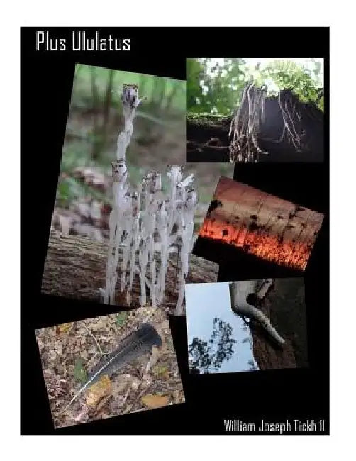 Plus Ululatus by William Joseph Tickhill