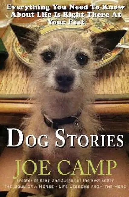 Dog Stories: Everything You Need To Know About Life Is Right There At Your Feet by Joe Camp