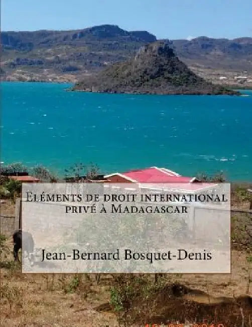 Eléments de droit international privé à Madagascar by Bosquet-Denis, Jean-Bernard