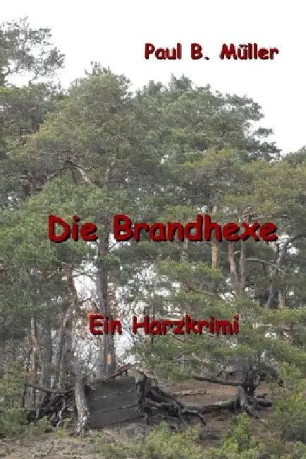 Die Brandhexe: Ein Harzkrimi by Mueller, Paul B.