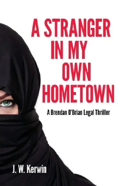 A Stranger In My Own Hometown: A Brendan O'Brian Legal Thriller by J. W. Kerwin