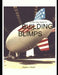 A Practical Guide to Building Small Gas Blimps by F. Marc de Piolenc