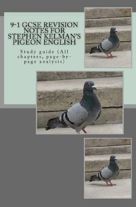 9-1 GCSE REVISION NOTES for STEPHEN KELMAN'S PIGEON ENGLISH: Study guide (All chapters, page-by-page analysis) by Joe Broadfoot