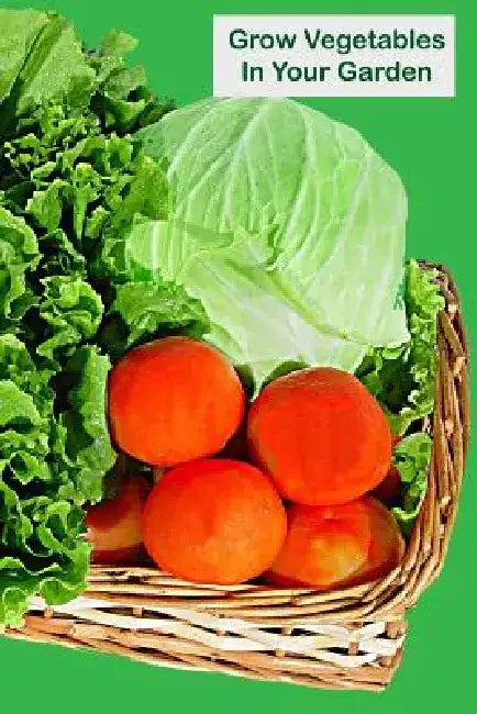 Grow Vegetables In Your Garden by Lazaros' Blank Books