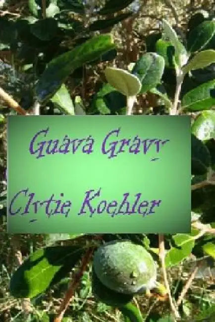 Guava Gravy by Clytie Koehler