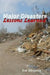 Major Disasters - Lessons Learned by Eve Gonzales