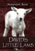 David's Little Lamb by Maureen a. Rose