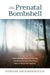 Prenatal Bombshell: Help and Hope When Continuing or Ending a Precious Pregnancy After an Abnormal Diagnosis by Stephanie Azri, Sherokee Ilse