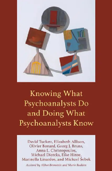 Knowing What Psychoanalysts Do and Doing What Psychoanalysts Know by David Tuckett